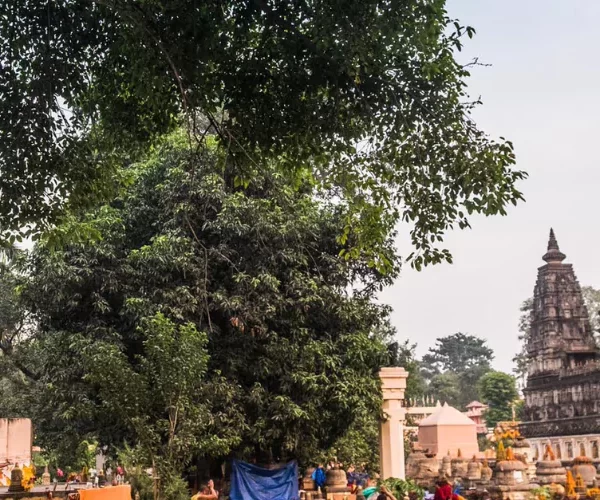 Bodhgaya Travel