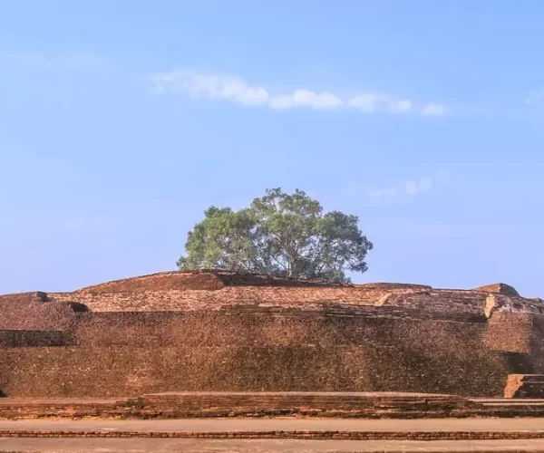 Sujata Temple Bodhgaya